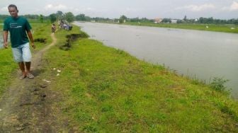 Tanggul Sungai di Sambiroto Longsor, Ancam Tanaman Padi di 4 Desa