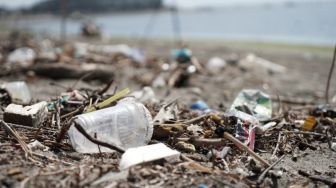 Salut! Aktivis Lingkungan di Bali Ini Bangun Rumah dari 35 Ribu Sampah Plastik