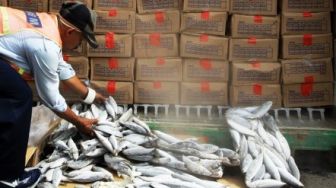 Wacana Pemko Batam Impor Ikan, Pakar Ekonomi: Aneh Sekaligus Lucu