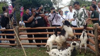 Wajib Dicoba, Ini Deretan Hal Seru yang Bisa Dilakukan Pengunjung di Solo Safari