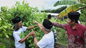 Perkuat Ekonomi dan Ketahanan Pangan, Kiyai Muda Jatim Dukung Budi Daya Kacang Sacha Inchi