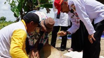 Harga Gabah Rp 4.800, Dinas TPH Kalsel Minta Klaster Harga Tiap Daerah