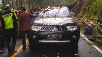 Pohon Tumbang di Jalan Nasional Trenggalek-Ponorogo, Timpa Dua Mobil 