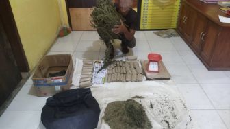 Polsek Manyak Payed Ringkus Bandar Narkoba, 4,5 Kilogram Ganja Diamankan