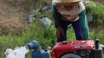 Beberapa Wilayah Terancam Banjir dan Gagal Panen, Kementan Siap Berikan Bantuan Mitigasi