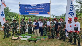 Sinergi Ketahanan Pangan Bersama TNI, Pupuk Kaltim dan Yonkav 13/SL Tanam Pepaya di Samboja