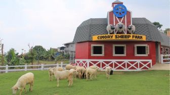 Cimory Dairyland and Resto Prigen, Wisata dengan Konsep ala Pedesaan Eropa