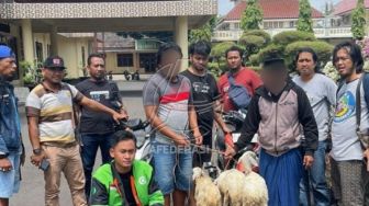Resmob Polres Situbondo Bekuk Kawanan Pencuri 36 Ternak