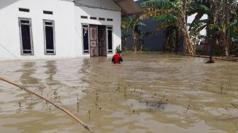 Keluh Kesah Warga Muaragembong yang Sepekan Terendam Banjir, Aktivitas Lumpuh