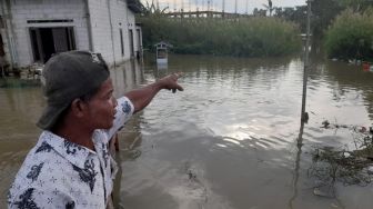 Ratap Warga Muaragembong Lihat Sawah Rusak Diterjang Banjir, Pinjam Uang di Bank Jadi Sia-sia