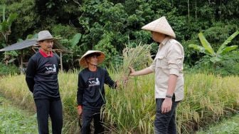 GMP Bina Kelompok Tani di Garut untuk Maksimalkan Lahan Gambut