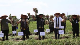 Mentan SYL dan Wamendag Panen Raya dan Lepas Pasokan Bawang Merah ke Ibukota