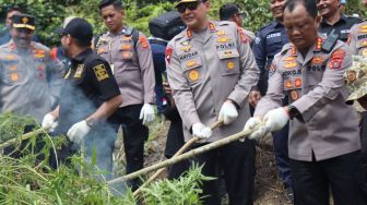 Kapolda Aceh: Pemusnahan 11 Hektar Ladang Ganja Selamatkan 5 Juta Jiwa