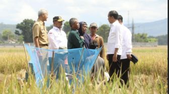 Didampingi Menteri Pertanian, Presiden Jokowi Lakukan Panen Raya di Kebumen