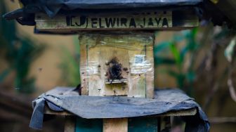 Kotak sarang lebah di tempat peternakan lebah dan madu di Hutan Kota Srengseng, Jakarta Barat, Jumat (10/3/2023). [Suara.com/Alfian Winanto]