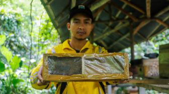 Petugas menunjukkan kotak lebah di tempat peternakan lebah dan madu di Hutan Kota Srengseng, Jakarta Barat, Jumat (10/3/2023). [Suara.com/Alfian Winanto]
