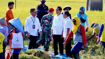 Panen Raya Padi Nusantara Berlanjut di Ngawi, Presiden Jokowi: Di Sini Capai 10 Ton per Hektare