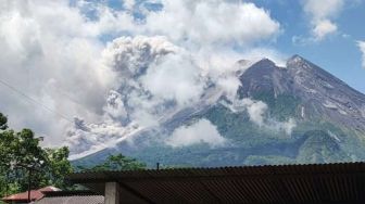 Erupsi Gunung Merapi Capai 7 Kilometer, Ini yang Jadi Penyebabnya