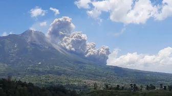 Erupsi Gunung Merapi Ditandai Adanya Kijang Tertabrak di Ngaglik?, TNGM Beri Penjelasan Ini