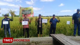 Kadistan dan Gubernur NTT Panen Padi Nusantara 1 Juta Ha di Sumba Timur