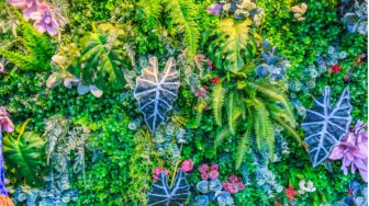 5 Rekomendasi Tanaman Hias Vertical Garden, Cocok untuk Lahan Sempit!