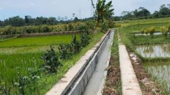 RJIT Kementan Beri Bantuan Desa Seberang Kapuas untuk Tingkatkan Produksi
