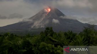 Aktivitas Gunung Merapi, Luncurkan 68 Kali Awan Panas dalam Sepekan Terakhir