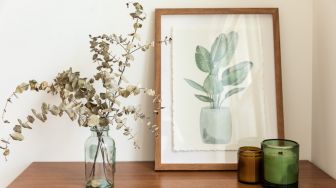 5 Tips Merawat Tanaman Eucalyptus dengan Mudah di Dalam Ruangan