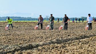 Presiden Jokowi Lakukan Kick Off Food Estate 10 Ribu Hektare di Papua