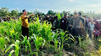 Tinjau Food Estate di Keerom Papua, Jokowi: Kita akan Tanam Jagung 10 Ribu Hektare