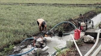Kementan Beri Bantuan Irigasi Perpompaan untuk Petani Lampung Selatan