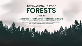 4 Cara Memperingati Hari Hutan Internasional, Yuk Lakukan!