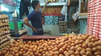 Harga Telur Ayam Tembus Rp 40 Ribu/Kg, Pedagang Pasar Ungkap Biang Keroknya