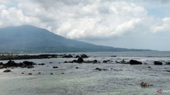 Waspada Buaya Muncul di Sejumlah Pantai di Lampung Selatan