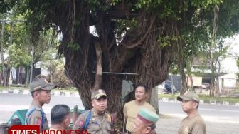 Rumah Pohon di Jalan Raya Langsep Kota Malang Dibongkar