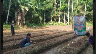 GMC Banten Gelar Workshop Bersama Petani Muda Mandalawangi