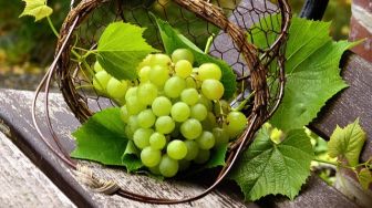 6 Manfaat Anggur Hijau untuk Kesehatan yang Perlu Diketahui