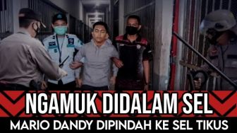 CEK FAKTA: Teror Teman David, Mario Dandy Kini Dijebloskan ke Sel Tikus, Benarkah?