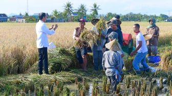 Alih Fungsi Lahan Pertanian Marak, Ketahanan Pangan RI Terancam