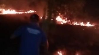Dua Hektare Lahan di Kundur Karimun Ludes Terbakar