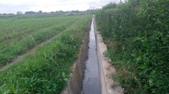 Banyak Kebocoran, Kementan Merehabilitasi Jaringan Irigasi Tersier di Blitar