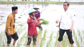 Presiden Jokowi Bersama Mentan SYL Lakukan Percepatan Tanam Padi di Tuban