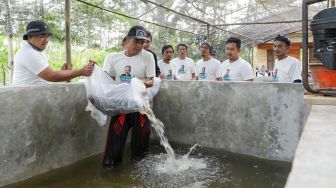 Nelayan Pesisir Berikan Bantuan Lele ke Pembudi Daya Ikan Darat di Cianjur