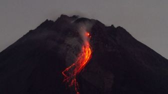 Gunung Merapi Luncurkan Awan Panas Guguran, Mengarah ke Barat Daya Sejauh 1,5 Km