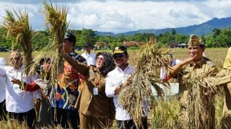 Panen Raya Padi, Mentan SYL Bersyukur Klaten Berhasil Terapkan 4 Kali Panen dalam Semusim