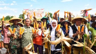 Sejumlah Daerah Panen Raya Padi, Gubernur Khofifah Apresiasi Jatim Berhasil Pertahankan Kenaikan Nilai Tukar Petani