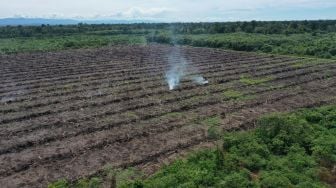 Aktivis Lingkungan Ajak Masyarakat Selamatkan Suaka Margasatwa Rawa Singkil