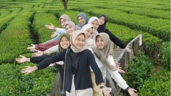 Sering Terlupa, Ini 5 Tips Berkunjung ke Kebun Teh