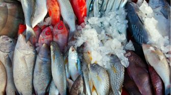 20+ Jenis Ikan yang Aman Dikonsumsi Penderita Asam Urat, Begini Cara Pengolahannya