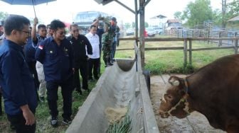 Mentan SYL Dorong Provinsi Sulsel Jadi Sentra Sapi Potong Nasional